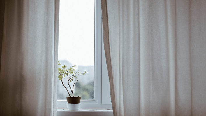 flor en ventana |Homeserve