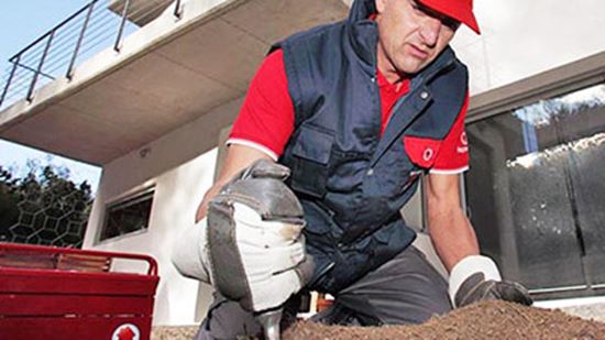 Reparalia blog jardinería plantas |Homeserve