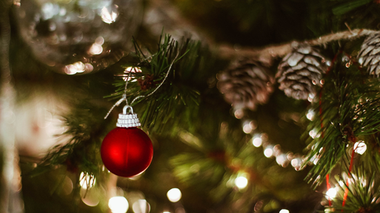 bola en arbol |Homeserve