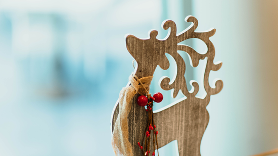 reno navidad homeserve |Homeserve