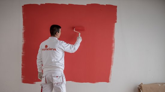pintor homeserve |Homeserve