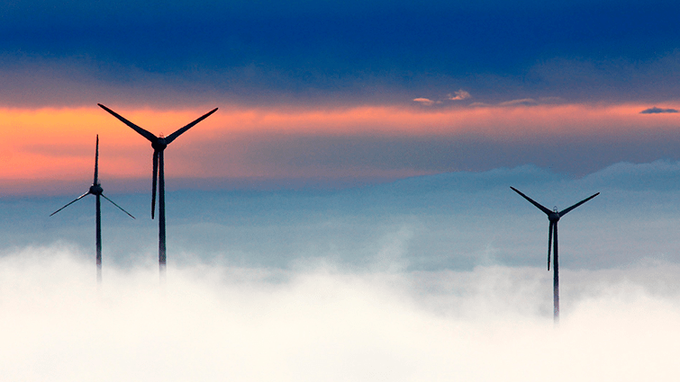 molinos de viento al amanecer