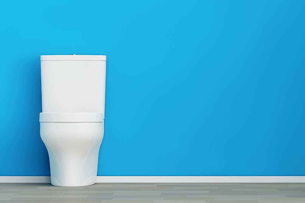 una cisterna en un baño delante de una pared azul