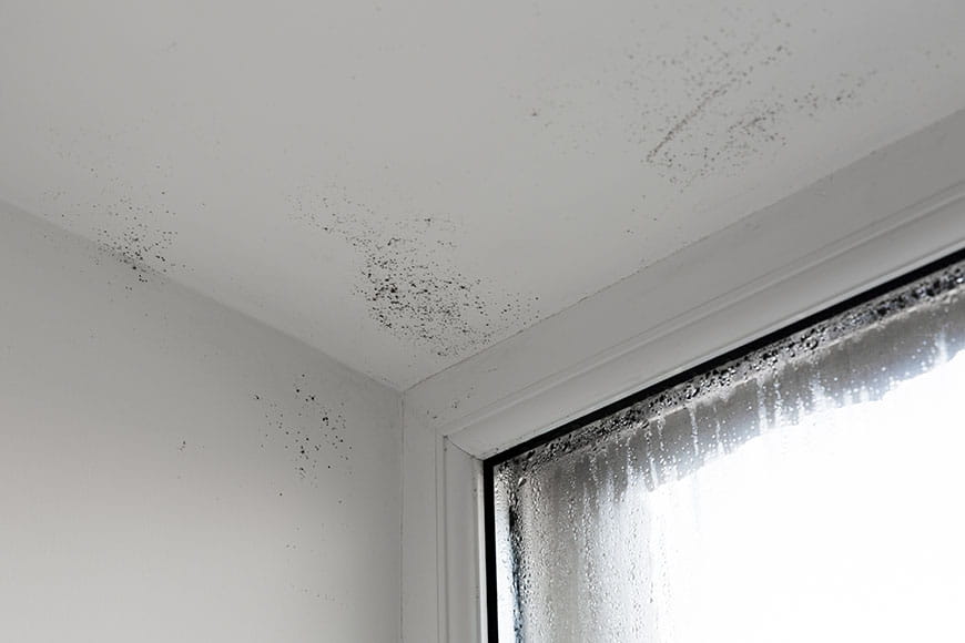 Una pared con bastante humedad por condensación