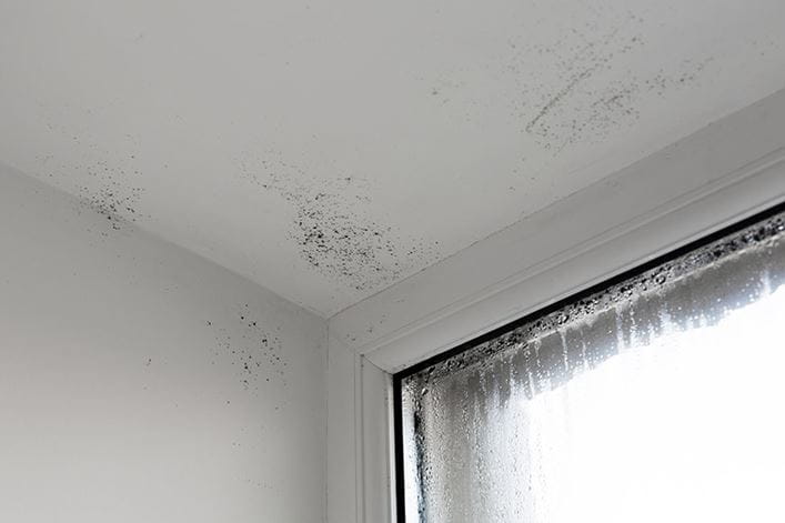 Una pared con bastante humedad por condensación