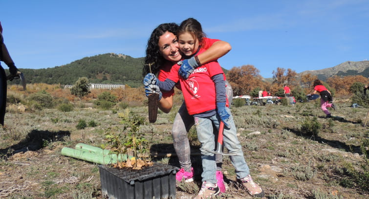 Reforestación HomeServe