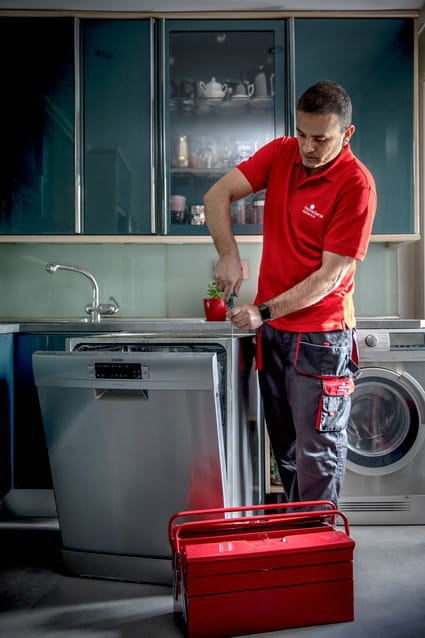 Agente Anguila guía Cuándo es necesario resetear un lavavajillas | HomeServe