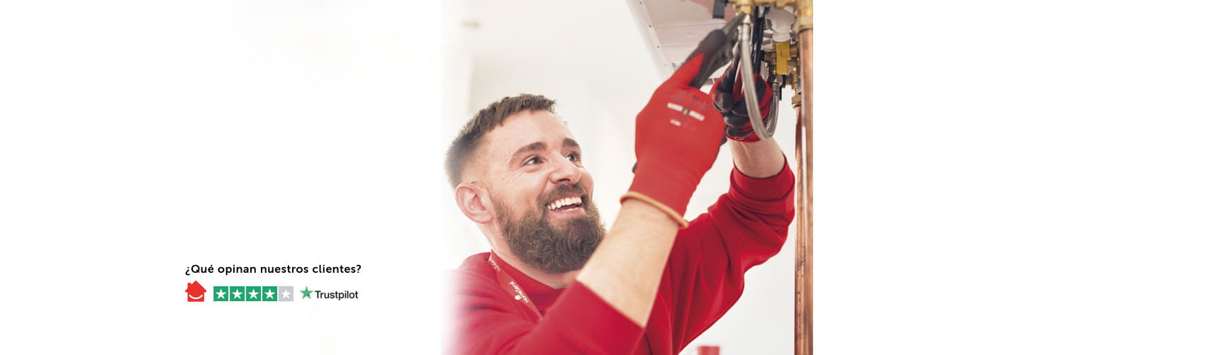 Técnico de HomeServe haciendo la revisión obligatoria de la caldera de gas