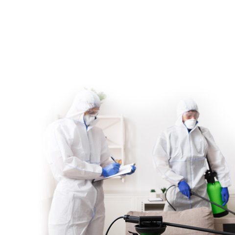 Empresa desinfección coronavirus