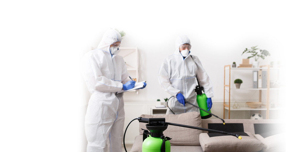 Empresa desinfección coronavirus