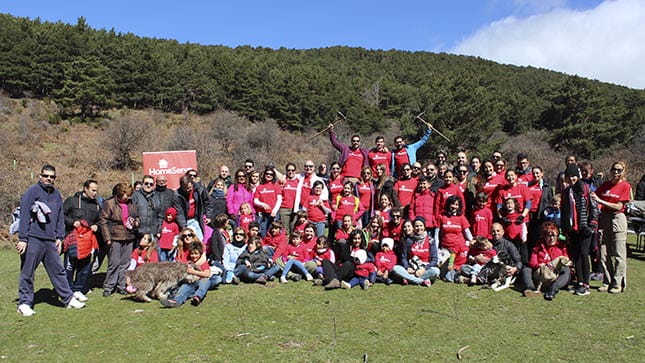 Reforestación HomeServe