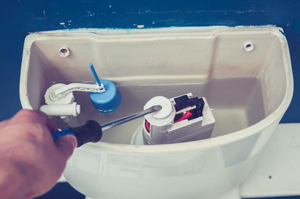 Cisterna Roca doble pulsador : Desmontar y limpiar para evitar fugas de  agua. 