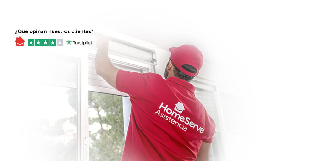 Persianista en casa de un cliente