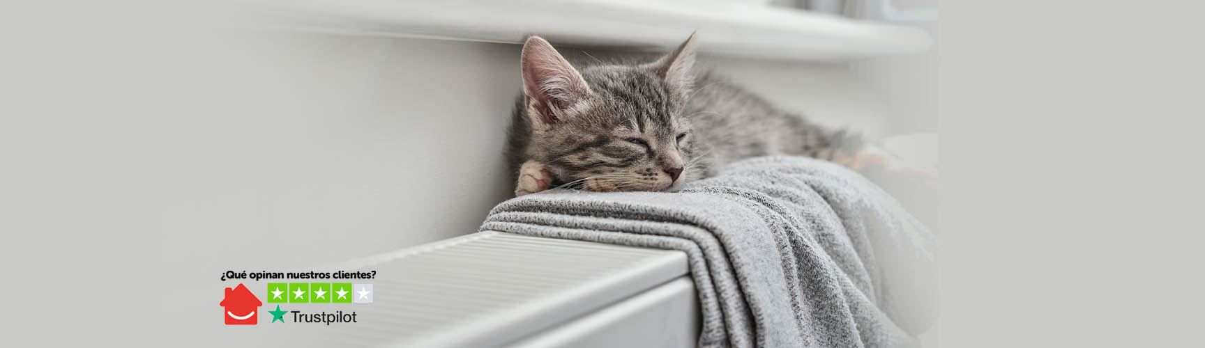 Mantenimiento de caldera |HomeServe